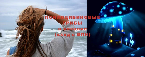гашик Арсеньев