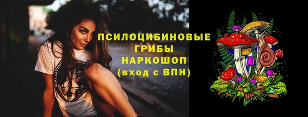 гашик Арсеньев