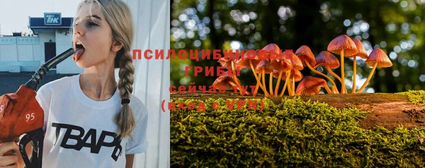 гашик Арсеньев