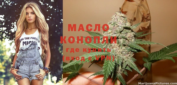 гашик Арсеньев
