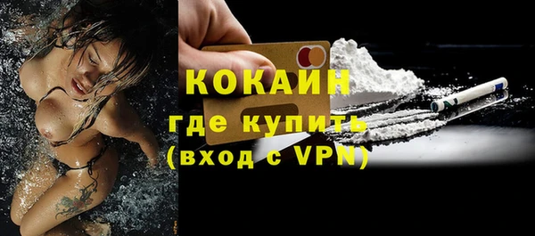 гашик Арсеньев