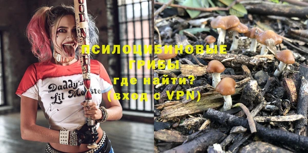 гашик Арсеньев