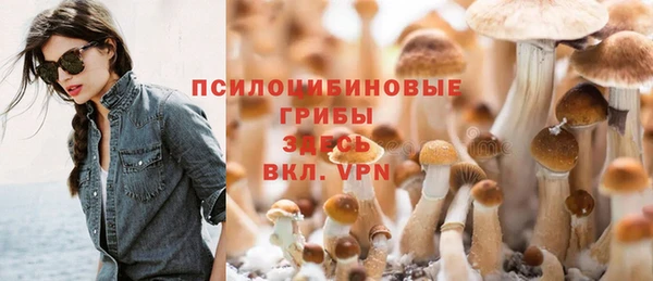 индика Навашино