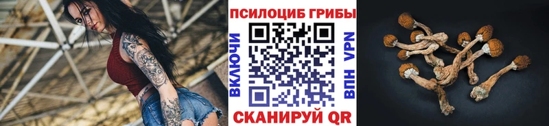 Галлюциногенные грибы Psilocybe цены наркотик мега ONION Новый Оскол
